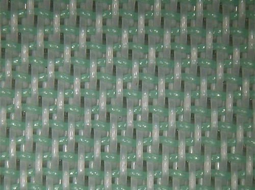 ֱֽʹ